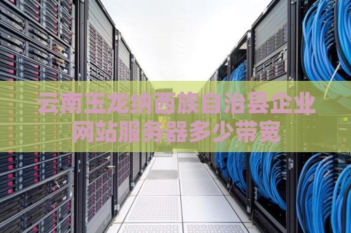 云南玉龙纳西族自治县企业网站服务器多少带宽